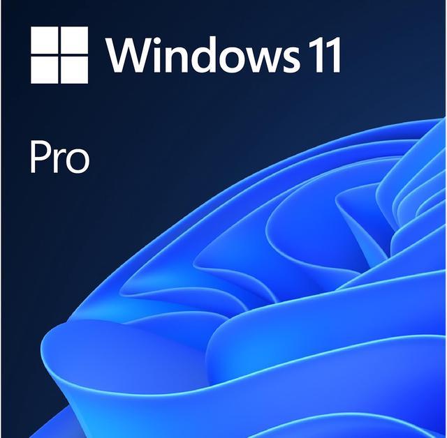 Windows 11 Pro